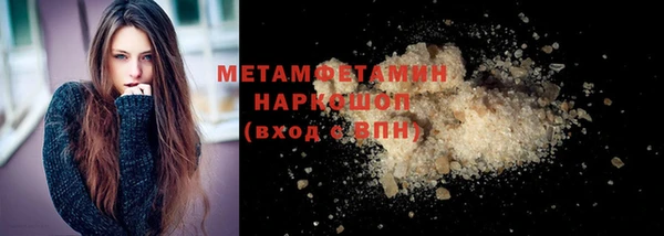 индика Мегион