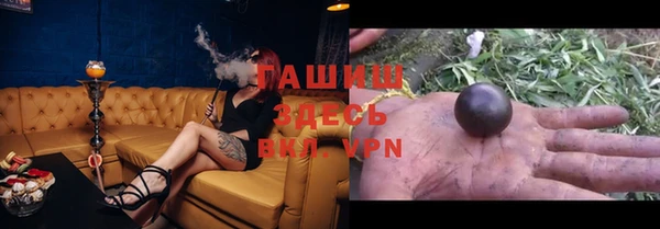 индика Мегион
