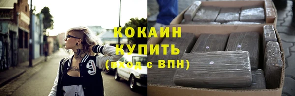 индика Мегион