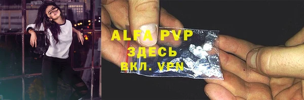 индика Мегион