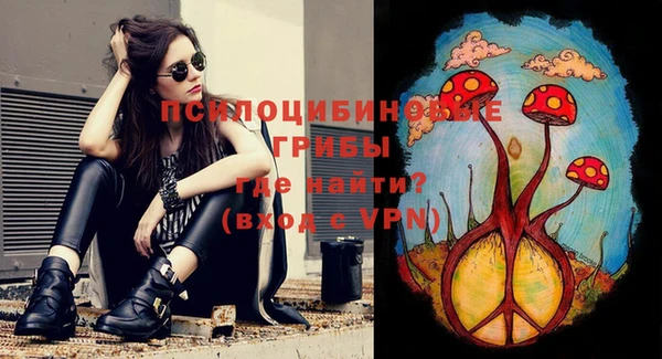 индика Мегион