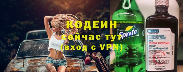индика Мегион
