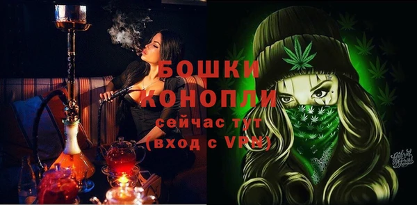 индика Мегион