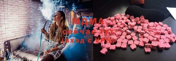 индика Мегион