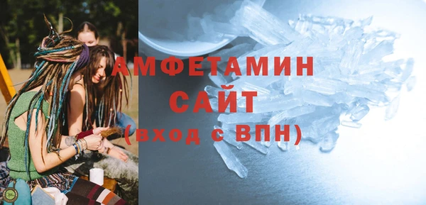 индика Мегион