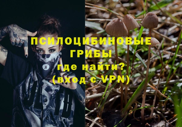 spice Медногорск